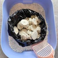 Litière pour chat en cassava et tofu biodégradable, super absorbante, agglomération instantanée, faible dispersion, mélange de tapioca et tofu, sans danger pour les chatons