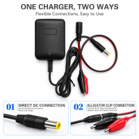 Chargeur de batterie au plomb 6V 2A pour voiture électrique pour enfants, avec pinces crocodiles, prise US EU UK DC, vente en gros, OEM usine