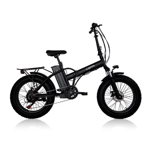 Made In Italy Top Quality 13 Ah Lithium Battery Electric City Bike With 5 Levels Display Led