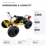 Kart à pédales tout-terrain à essence à 4 temps avec transmission par arbre, idéal pour la plage et les divertissements en plein air