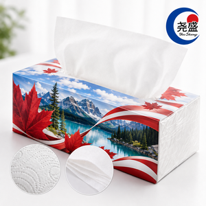 Mouchoirs en papier gaufrés 4 plis doux avec impression de la silhouette de la ville de Toronto et de la feuille d'érable rouge - Product Image 1