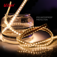 Iluminación LED Flexible para Decoración de Hoteles, PVC 13x7mm SMD5050 60 LEDs Blanco 12V-230V IP65 Ra90 Wi-Fi/