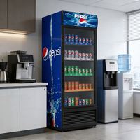 Réfrigérateur de Magasin Rebirth, Vitrine Réfrigérée pour Boissons, Présentoir Réfrigéré pour Cola et Pepsi