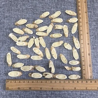1007 Huang qi 1-1.2 Dia Supply Makanan Kesehatan Teh Irisan Akar Astragalus