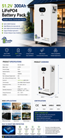 Batería LiFePO4 de 51.2V 300Ah, 15360Wh, de pie, para almacenamiento de energía solar, respaldo doméstico, fuera de la red, con BMS, 6000 ciclos