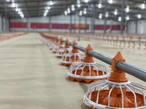 Tùy chỉnh kích thước núm vú uống dòng cho gia cầm trang trại gia cầm đổ chăn nuôi trang trại Gà nhà gà Xúc Xích ăn Pan hệ thống - Product Image 5