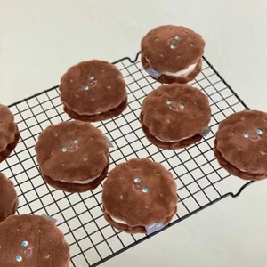 Wholesale Pet Dog Toys Brown Cookie Style Cute Hidden Food Plush <b>Squeaky</b> Interactive Toy Soft Chew Pet Hide Seek Dog Toy - Product Image 6