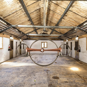 Bocados de Acero Inoxidable para Montar a Caballo, Equipo Ecuestre FAZN INDUSTRY, Empaque Personalizado - Product Image 3