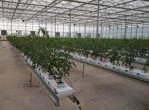 Méthode de culture de gouttière en PVC Jiapei pour les légumes fruitiers tomates, concombres et poivrons - Product Image 4