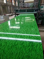 Bobine galvanisée prépeinte à tolérance de dimensionnement serrée, couleur RAL personnalisée pour la production de volets roulants et de portes métalliques