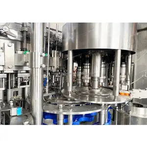 Ligne de production/Remplisseuse de bouteilles d'eau minérale potable en plastique PET de fabrication automatique