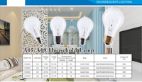 Ampoules à incandescence de qualité supérieure, vente chaude, 110V/220V B22 & E27 A19 A60