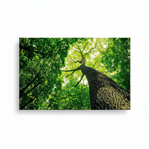 Green Tree Landscape Printed Canvas Wall Art: Boho Decor,<b>WRAPPED</b> CANVAS - Product Image 2