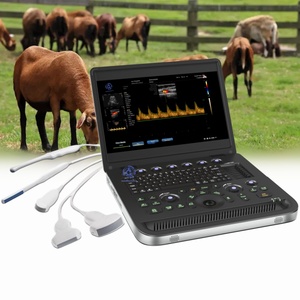 Échographe Doppler <span class=keywords><strong>Panoramique</strong></span> Couleur 2D/<span class=keywords><strong>3D</strong></span> en Temps Réel à <span class=keywords><strong>Prix</strong></span> d'Usine, Appareil Ultrasonore Numérique Complet - Product Image 1