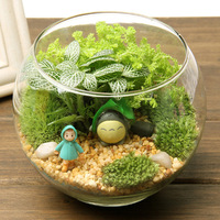 Terrarium en verre transparent DIY pour plantes d'intérieur, décoration de jardin, pot de culture hydroponique de plantes aquatiques sculpté à la main