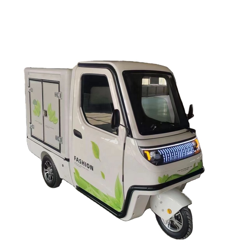 EEC 1000W Electric Tricycle for Adults
