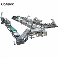 Ligne de production de chips de pommes de terre de petite taille : Support technique standardisé pour l'expansion d'usine