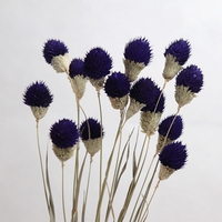 Fleur naturelle séchée, 1 ensemble de 15 pièces, arrangement de vase, pour remplissage de fruits, boule de fruits secs, similaire à des fraises, vente en gros
