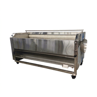 Eenvoudig Te Bedienen Nieuwe Staat 220V/380V Roestvrij Staal Volautomatische Aardappel Gember Wasmachine