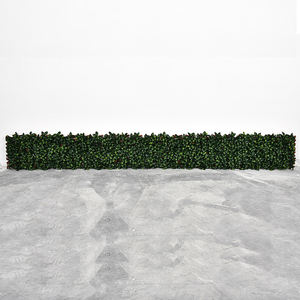 Treillis extensible artificiel de Base en PVC de <span class=keywords><strong>buis</strong></span> d'extérieur de protection contre les Uv pour le jardin - Product Image 6