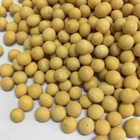 Norme internationale de soja chinois en vrac soja jaune avec prix direct d'usine