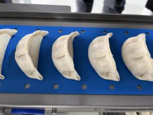 Machine à faire des raviolis, des empanadas, des samosas, des pierogis, des gyozas, multifonctionnelle et automatique, avec moteur, grande capacité - Product Image 3