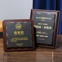 Plaque rectangulaire en bois vierge personnalisée pour les trophées et les médailles