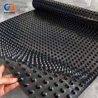 Planche de drainage concave en plastique HDPE durable et imperméable, adaptée aux tunnels, sous-sols, fondations, jardins et drainage des barrages.