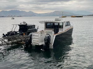 Bateau à moteur en aluminium de 10 à 12 mètres, catamaran, <span class=keywords><strong>ferry</strong></span>, bateau de pêche commerciale - Product Image 2