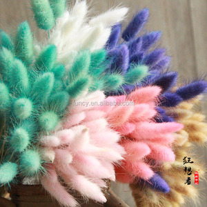 Vente <span class=keywords><strong>en</strong></span> gros de la plante la plus tendance : Uraria Picta Lagurus Ovatus (queue de lapin) séchée naturellement <span class=keywords><strong>pour</strong></span> la remise des diplômes, la fête des pères et la fête des mères - Product Image 5