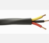 Cable de Alimentación con Aislamiento XLPE y Revestimiento de PVC, Núcleo de Cobre YJV-3*1.5mm²