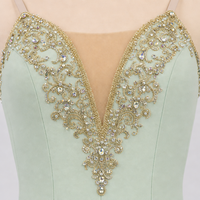 Jupe tutu de ballet pour adultes, costume de performance professionnel, robe de ballerine sans manches en polyester et tulle pour femmes, robe de danse de scène, coupe trapèze