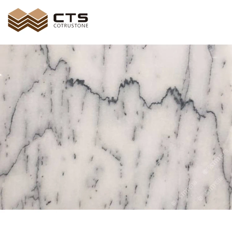 Countertop Statuario Tiles Slabs Price White Dolomite Bianco Carrara Marble Natural Polished Italian Bianco Carrara White Marble