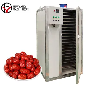 Hot Sale Electric Motor Drying Room Dried Fish Fig Drying Equipment Horizontal Gas Hot Air Oven for Fruit