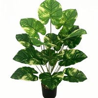 Plante verte transfrontalière, radis variegé, décoration de mariage et de maison, pot de Dieffenbachia, fausses feuilles, décoration murale douce