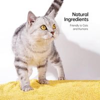 Litière pour chat Millet naturel écologie originale Faible poussière Désodorisation et stérilisation Adaptabilité