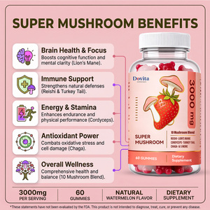 Gummies aux champignons Cordyceps OEM USA, complexe 5 en 1, mélange Lion's Mane et Reishi, certifié GMP, formule naturelle de haute qualité, végétalien - Product Image 3