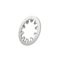 Custom Steel Stainless Steel Anti Loosening Fastener Special Lock Washer