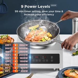 Table de cuisson à induction multifonction haute puissance 3500W, plaque de cuisson en acier inoxydable, cuisinière commerciale - Product Image 3