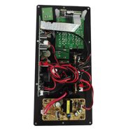 Amplificateur de puissance de carte de Module d'amplificateur de classe D pour haut-parleur