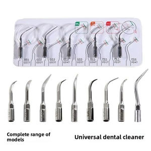 Puntas de Repuesto para Blanqueamiento Dental, Accesorios para Máquina de Limpieza Dental, Uso Doméstico, Material de Acero Inoxidable, Serie P PD G GD E1 - Product Image 5