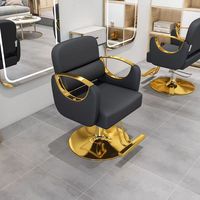 Chaise de Salon de Beauté Professionnelle de Luxe à Vendre, Siège en Cuir PU, Pompe Hydraulique, Pivotant à 360 Degrés, Multifonctionnelle