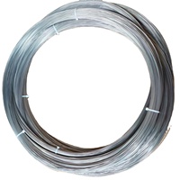 Fil de tungstène pur personnalisé en usine 0,3 mm~2,00 mm par kg Excellent prix Produit