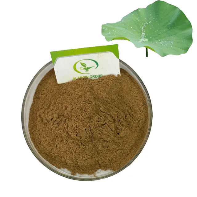 HALAL factory supply wholesale lotus leaf extract powder