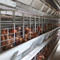 Nouvelle cage à poules pondeuses entièrement automatisée de type H à 3-8 niveaux en acier galvanisé, durée de vie de 15 à 20 ans