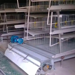 สายพานลำเลียงมูลไก่ PP สำหรับกรงสัตว์ปีก - Product Image 4