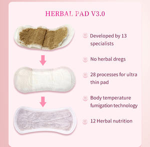 Prof.Ding RTS/OEM Großhandel Kräuter Wingless <span class=keywords><strong>Pads</strong></span> Yoni Damen binden Baumwolle Detox Anti-Juckreiz Entfernen Sie Geruch Kräuter Panty Liner - Product Image 5