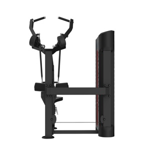 Appareil de musculation à charges sélectionnables pour entraînement de force : Lat Pulldown et Rame assise - Product Image 2