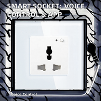 Prise murale intelligente Tuya Zigbee, prise universelle EU, commande vocale à distance via Alexa Google Home, 13A, réseau WiFi, IP53