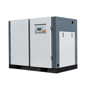 Garantía de calidad Industrial 380V 12Bar Compresor de aire Fabricante de compresores de aire de Tanzania